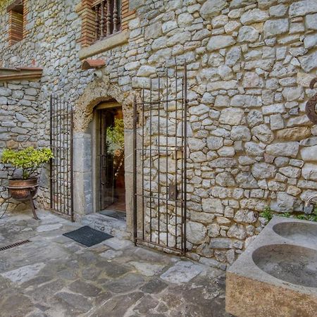 Mas Pineda Villa Oix Kültér fotó